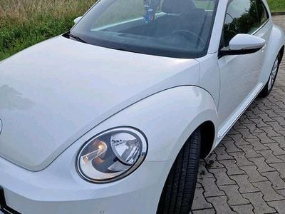 VW Beetle