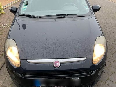 gebraucht Fiat Punto Evo 1.2L Benzin 69 PS