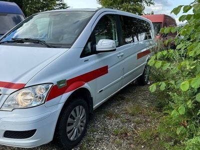 Mercedes Viano