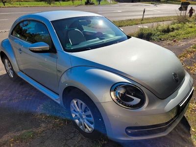 VW Beetle
