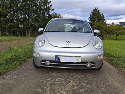 VW Beetle