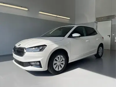 Brugt Skoda Fabia