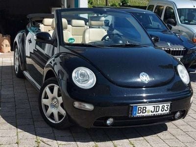 VW Beetle