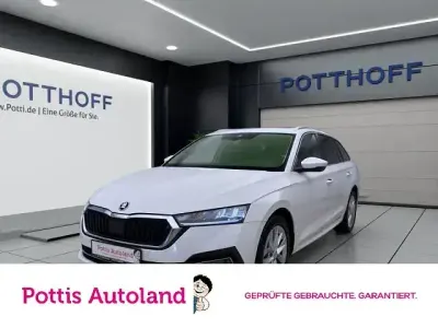 Gebraucht Skoda Octavia Style 116 PS (85 kW) 2024 Candyweiss Kombi