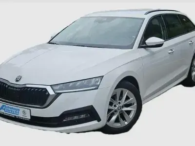 Gebraucht Skoda Octavia Ambition 150 PS (110 kW) 2023 Candyweiss Kombi