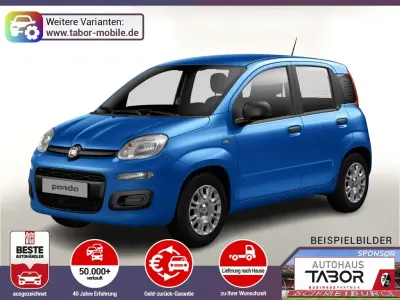 Brugt Fiat Panda