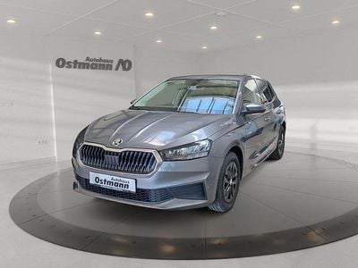 Gebraucht Skoda Fabia Ambition 80 PS (58 kW) 2022 Grau Kleinwagen