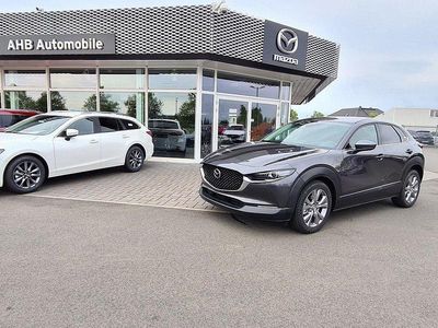 Gebraucht Mazda CX-30 Selection 150 PS (110 kW) 2020 Matrixgrau SUV