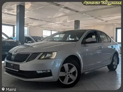 Brugt Skoda Octavia