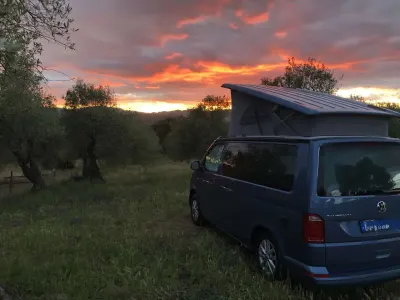 Brugt VW California
