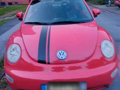 VW Beetle