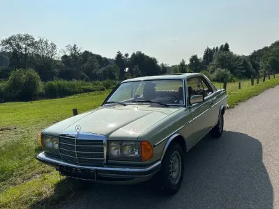 Brugt Mercedes E280 177 HK (130 kW) 1977 Grøn