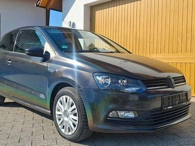 Usata VW Polo Trendline 75 CV (55 kW) 2015 Grigio