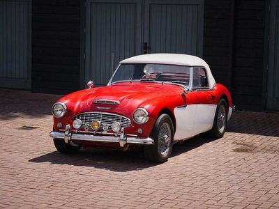 Rot Gebraucht 1959 Austin Healey 3000 MK I Cabrio | 29.900 €