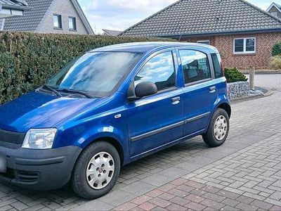 Gebraucht Fiat Panda 54 PS (39 kW) 2010 Blau Kleinwagen