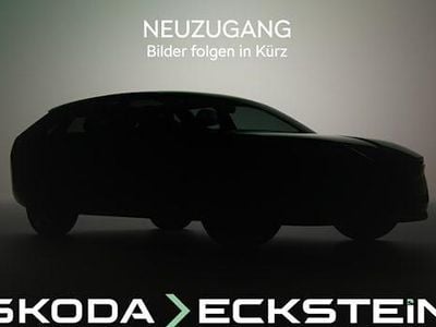 Usata Skoda Kamiq Clever 150 CV (110 kW) 2021 Grigio SUV