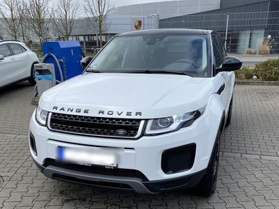 gebraucht Land Rover Range Rover evoque 2.0 TD4 110kW Pure Pure