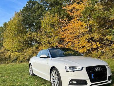 Gebraucht Audi A5 Cabriolet S-Line 177 PS (130 kW) 2014 Weiß Cabrio