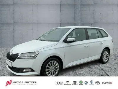 Gebraucht Skoda Fabia Active 95 PS (69 kW) 2022 Moonweiss metallic Kleinwagen