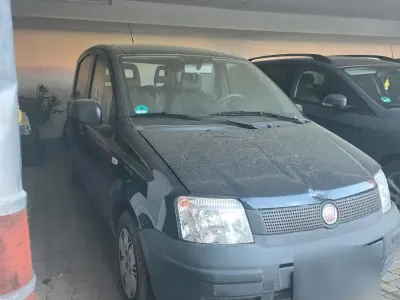 Usado Fiat Panda 55 HP (40 kW) 2010 Azul Citadino