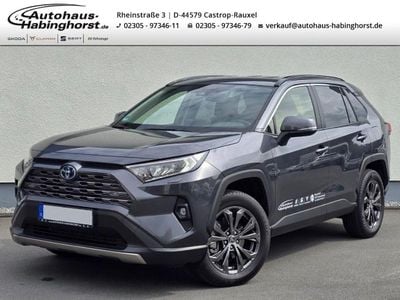 Gebraucht Toyota RAV4 Hybrid Active 222 PS (163 kW) 2023 Grau (metallic) SUV