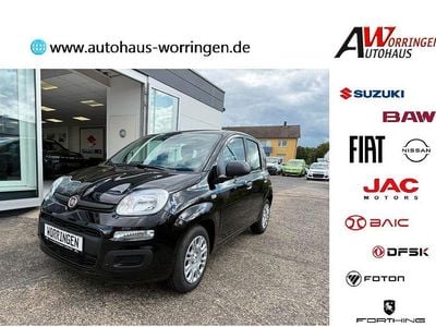 Neu Fiat Panda 69 PS (50 kW) 2025 Schwarz Limousine