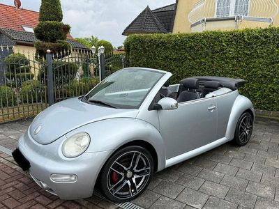 VW Beetle