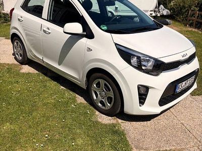 Usata Kia Picanto Edition 7 67 CV (49 kW) 2023 Bianco Utilitaria