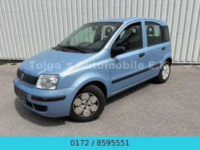 Gebraucht Fiat Panda Active 54 PS (39 kW) 2009 Blau Kleinwagen