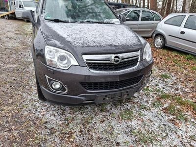 Gebraucht Opel Antara Cosmo 167 PS (122 kW) 2012 Grau SUV