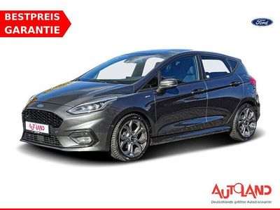 Grau Gebraucht 2020 Ford Fiesta ST-Line Kleinwagen | 15.490 € (Fairer Preis)