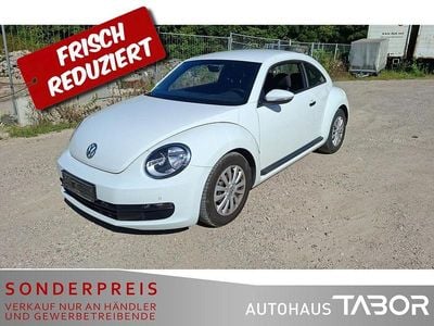 VW Beetle