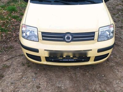 gebraucht Fiat Panda B.J.2008