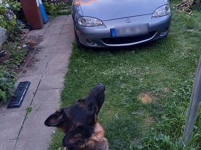 Mazda MX5