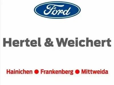 Gebraucht Ford Tourneo 150 PS (110 kW) 2022 Magneticgrau (metallic) (metallic) Kombi