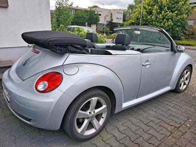 VW Beetle