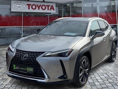 Gebraucht Lexus UX 250h 184 PS (135 kW) 2023 Weiß SUV