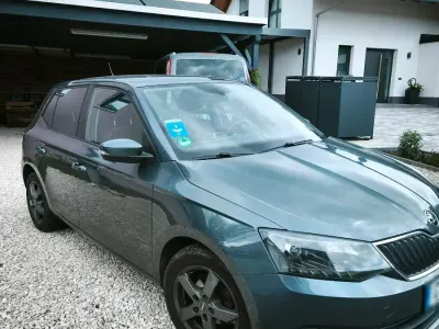 Gebraucht Skoda Fabia 60 PS (44 kW) 2017 Grau Kleinwagen