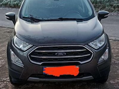 Grau Gebraucht 2018 Ford Ecosport Titanium SUV | 11.000 € (Guter Preis)
