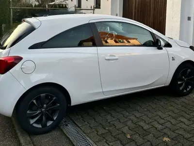Gebraucht Opel Corsa 69 PS (50 kW) 2019 Weiß Limousine
