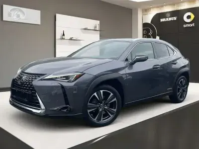 Gebraucht Lexus UX 250h