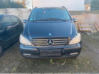 Mercedes Viano