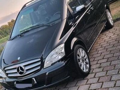 Mercedes Viano