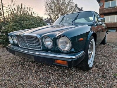 Second-hand Jaguar XJ6 1981 Verde Berlinǎ