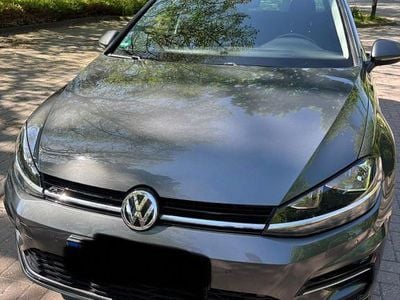 Usata VW Golf VII R-line 150 CV (110 kW) 2019 Grigio Station wagon