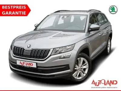 Gebraucht Skoda Kodiaq 150 PS (110 kW) 2020 Grau SUV
