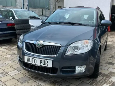 Brugt Skoda Fabia