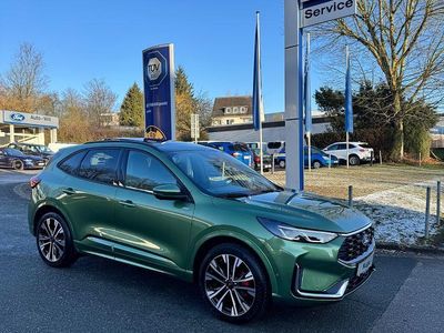 Grün Gebraucht 2024 Ford Kuga ST-Line X SUV | 38.987 € (Fairer Preis)