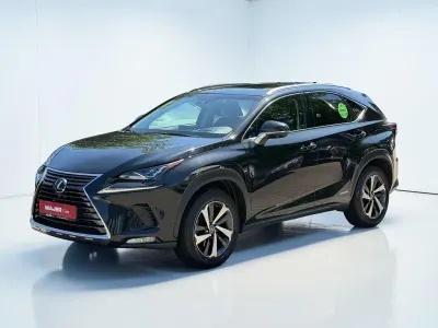 Gebraucht Lexus NX300h Executive Line 155 PS (114 kW) 2018 Schwarz SUV