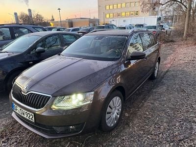 Braun Gebraucht 2013 Skoda Octavia Ambition Kombi | 9.999 € (Guter Preis)